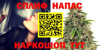 ешки Будённовск