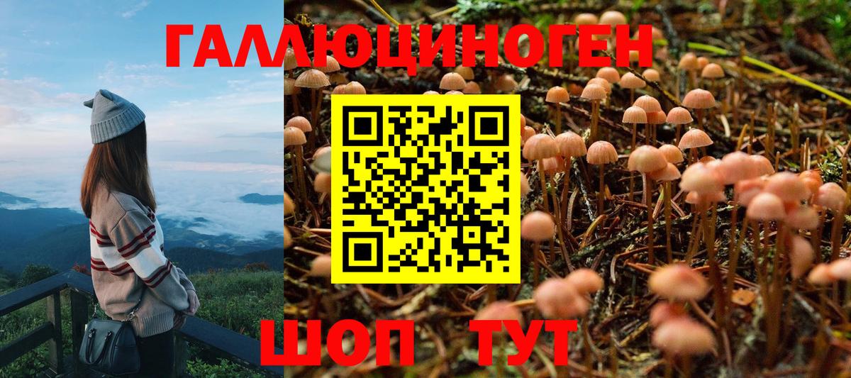 Похвистнево  купить закладку  Вход с VPN  Галлюциногенные грибы Cubensis 